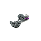 Sram Cage assembly - GX T-type derailleir cage