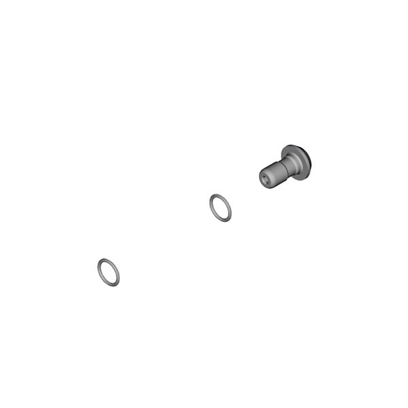 Shimano Banjo screw and O-ring BR-M8100