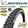 Michelin DH22 29" x 2.4"