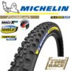 Michelin Wild Enduro Rear RL 29"x2.40"