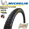 Michelin Wild Enduro RL Rear 29"x2.4" Mixed terrain